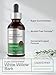 Horbäach White Willow Bark Extract Tincture | 2 Fl oz | Alcohol Free Liquid Supplement | Super Concentrated | Vegetarian, Non-GMO, Gluten Free