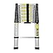 Cecaylie Échelle télescopique en aluminium - 3,8 m - Échelle multifonction - Antidérapante - Facile à transporter - Charge maximale : 150 kg.