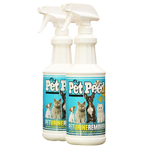 Best Enzyme Cleaner for Dog Urine (Our Top 10 Picks) 2021