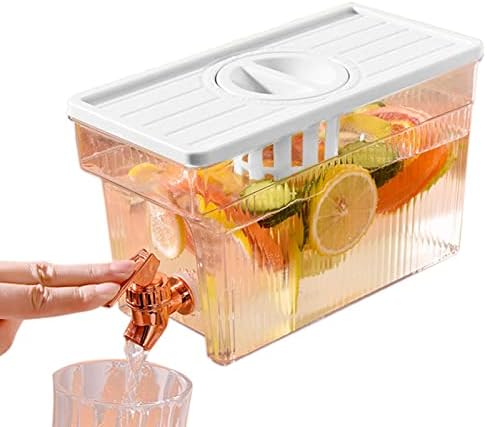 Raxove Beverage Container with Spigot, 3L Juice Container Large Iced Dinks Dispenser - Punch Dispenser -Ideal for Outdoor Picnic BBQ Parties and More