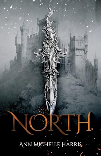 North view 2