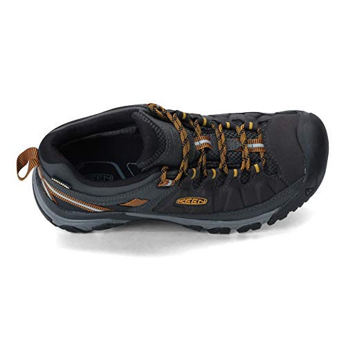 Image of KEEN Men's Targhee exp wp-m Hiking Shoe