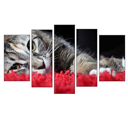 Impression sur toile chaton 5 pièces pour décoration moderne
