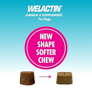 Nutramax welactin daily omega 3 supplement for dogs skin  coat health plus overall health 60 soft chews   cucciolini doodles
