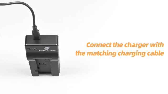 DSTE - Pack 2 Batteries + Chargeur Voyage Pour Sony NP-FC10 (NP-FC11) - Compatible Cyber-Shot DSC-P, F, FX Series