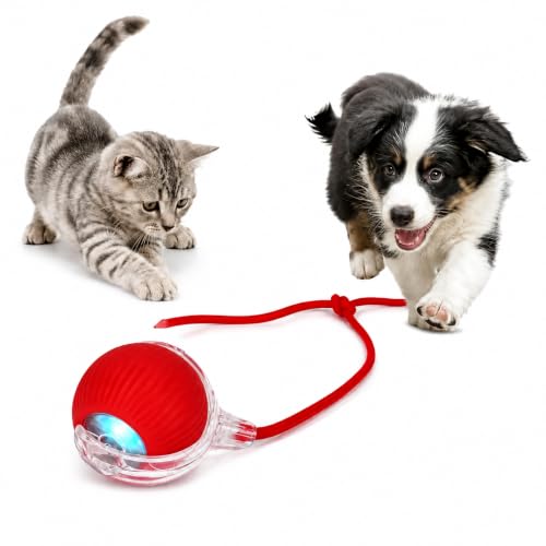 BlingPets Interactive Cat & Dog Toy Ball - Image 2