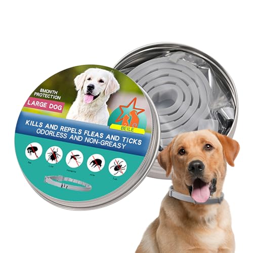 Colar de carrapato de cachorro, colarinho para cães - PREVENCIMENTO DE PET PET Tick Collar,Colar de