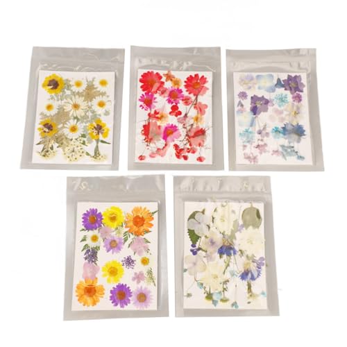 5 sacos de flores prensadas, estilos variados, detalhes ricos e vibrantes, multiuso, flores secas co