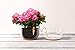 Blumat Classic Plant Watering Stakes - Self Watering Planter Insert for Pots - Automatic Plant Waterer & Plant Accessories (12Pack)