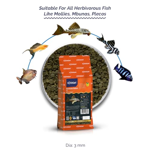 Image of Intan Herbivore Wafers (Big 3.0mm Sinking) | 1Kg - Highly Nutritious Ornamental Fish Food for Herbivorous Fish - Mollies, Mbunas & Plecos | Growel Feeds