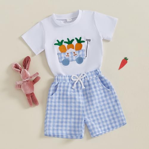 Image of Kavousa Toddler Boy Easter Outfit Baby Boy Bunny Short Sleeve T Shirt And Shorts Set 2 Piece Spring Summer Clothes