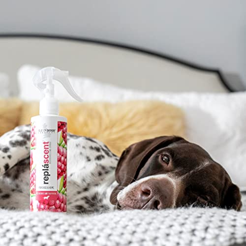 Image of Isle of Dogs Odor Neutralizing Spray, 8 Fluid Ounce, Red Berries and Champagne