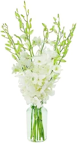 KaBloom 10 White Orchid With Vase image