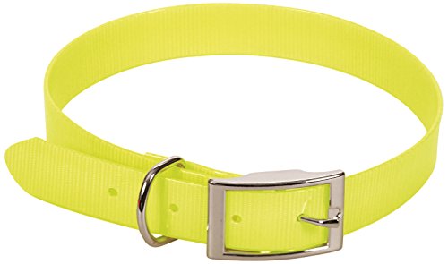 CHAPUIS SELLERIE Collier pour Chien Sangle Fluo PVC Jaune Largeur 25 mm, Longueur 55 cm, Taille L