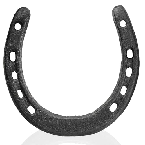 Ferro di cavallo in ghisa nera decorazione da parete ferro di cavallo in metallo regalo di nozze ornamenti da appendere ornamenti rustici occidentali Feng Shui portafortuna per interni ed esterni