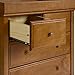 DaVinci Autumn 4-Drawer Dresser in Chestnut, Greenguard Gold Certified