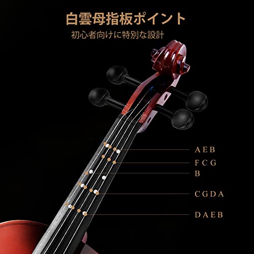 〇※後右1220 バイオリン Eastar ケース 楽器 イーストマンEastman セットバイオリン - 【江古田ストリングス