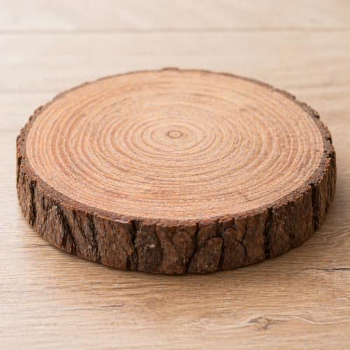 Bolacha de Tronco de Madeira Rústica 16cm Decorativa | Ideal para Centro de Mesa, Suporte de Velas e Porta Alianças | Madeira Natural Premium para Festas e Casa (1 Unidade)