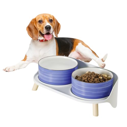 Hunde Napfset Hundenapf Set Erhöht - Doppelnapf Keramik mit Spritzschutz Ständer - Bunte Spirals Hundenäpfe für Futter und Wasser - Ideal für Kleine bis Mittelgroße Hunde - 2 x 800 ml - Blau