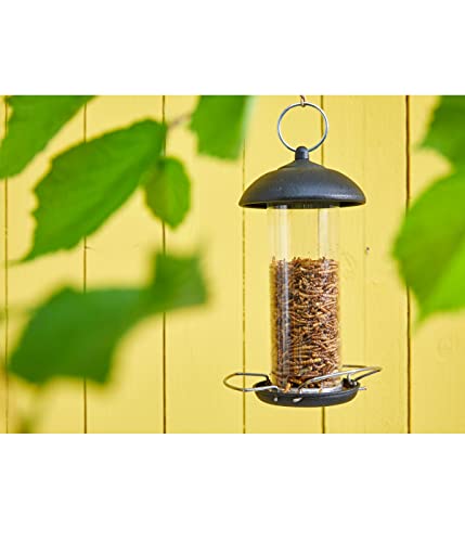 Dehner Natura Premium Wildvogelfutter, Wildvogelsnack, Getrocknete Mehlwürmer, Ganzjahresfutter proteinreich, hochwertiges Vogelfutter für Wildvögel, 500 g