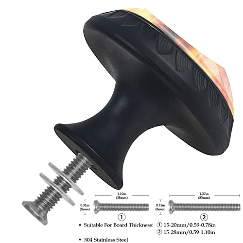 Higiene Bucal Y Dental, Beauty Imagen adicional