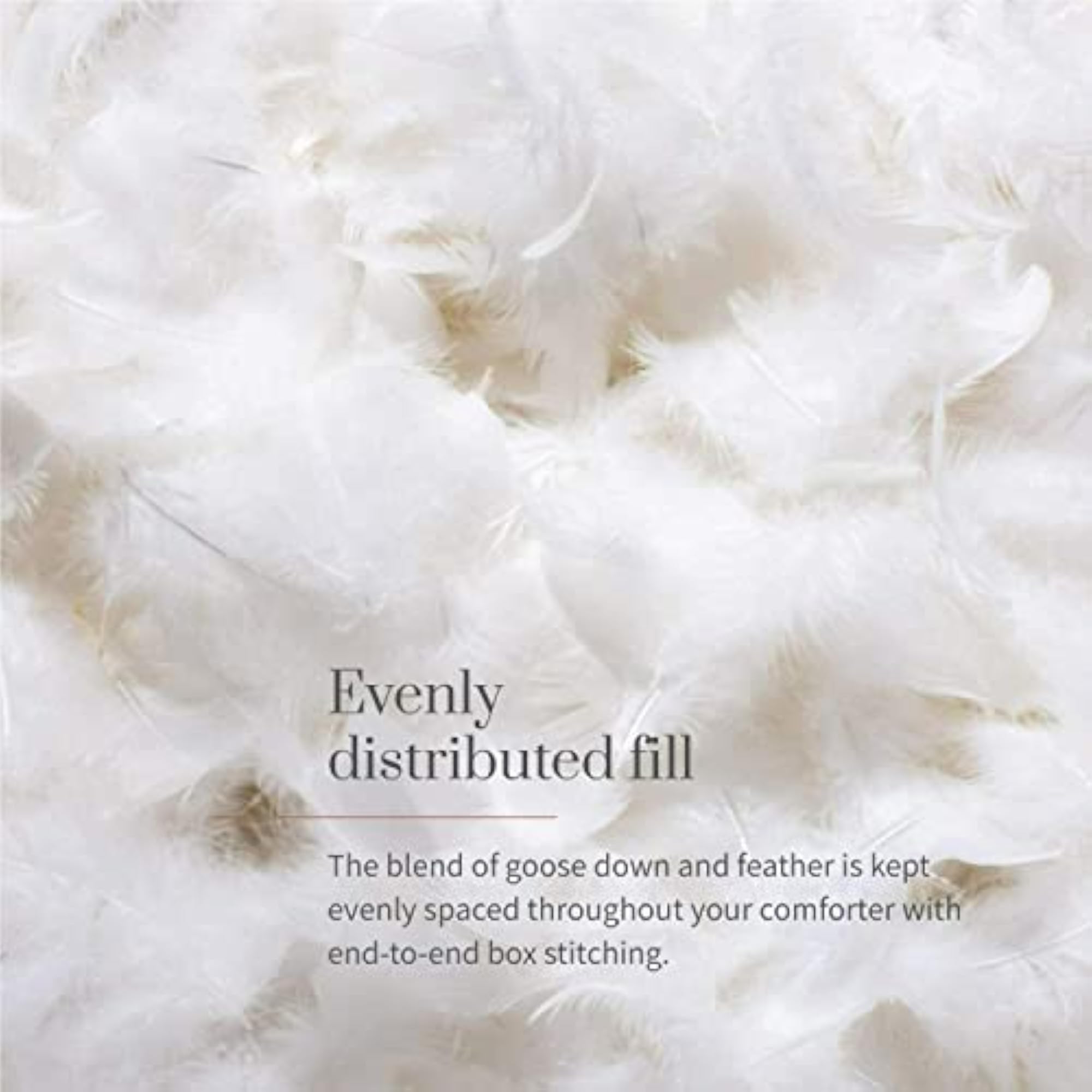 Conscious Series Down-Alternative Quilted Comforter