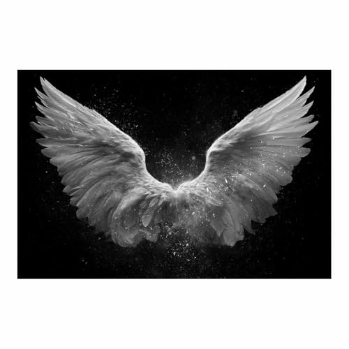 Affiche decoration plumes d'ange haut de gamme XENIOU en noir et blanc