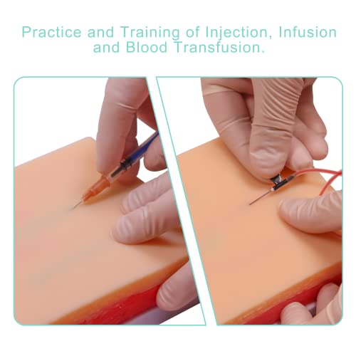 image for Aliwovo Venipuncture Practice kit Phlebotomy IV Insertion, Blood Draw,