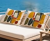 Cojines Exterior Impermeable Verano Funda Cojin 30x50 cm Abstracto de Terciopelo Funda Almohada Pintada Cojine para Sofa Oculta Cremallera Cojine para Sofá Silla Decoración Sof (Juego de 2) qq-421