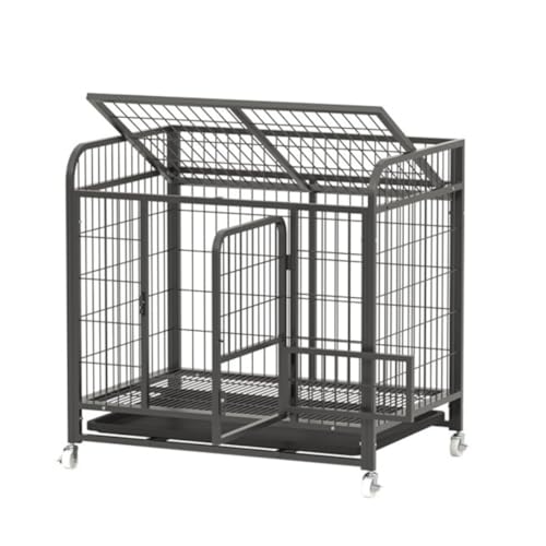 ���^�������^���p�̌��p�P�[�W�B���ƒ���ł̎g�p�ɍœK�B�L�X�Ƃ����f�U�C���ŁAFiozwea�ԗ֕t���B�t�B�I�Y�E�B�A���݂̂���p���^�B�y�b�g�p���p���A���^���p�S���P�[�W�B (�����u����125×95×125 cm,��L�Ɠ���)