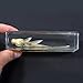 REALBUG Common Goldfish Paperweight (4.4x1.6x1.1)