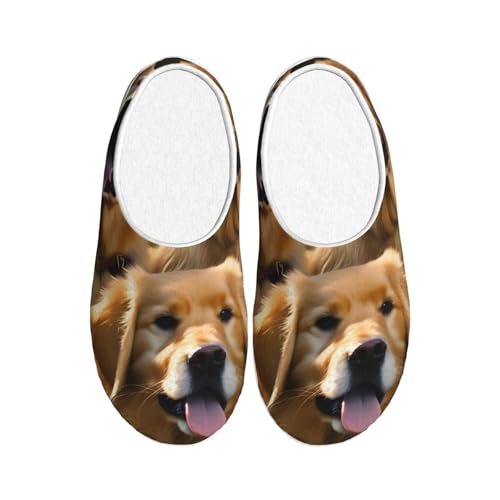 Pantoufles peluche d'hiver EdWal : oubliez les pieds froids grâce au Golden Retriever 39 EU