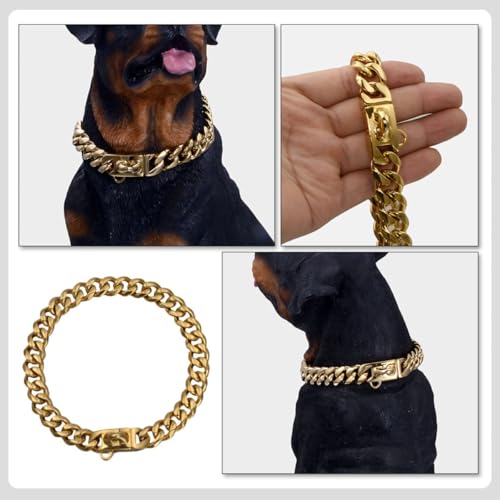 Collier en chien acier inoxydable or résistant contre l'usure - 3