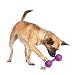 PetSafe Busy Buddy Waggle Dog Toy, Small