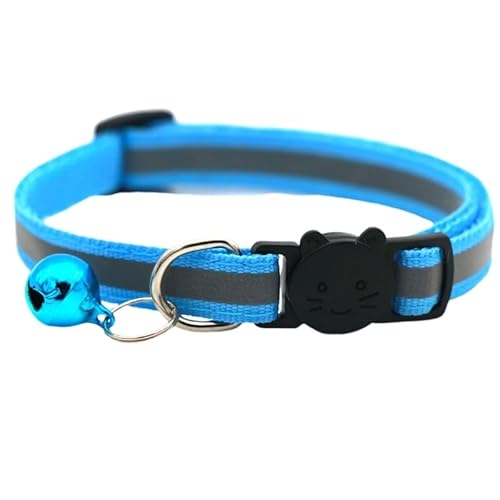 Plus Nao(vXiI) Lp Z[teBobN LbgJ[ ˔ t ˂ lR TCY߉ y Vv JoLx  - XJCu[