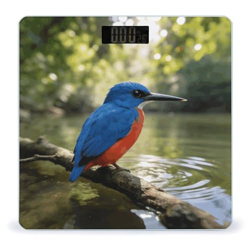 Báscula digital Kingfisher para uso doméstico, hasta 180 kg miniatura 1