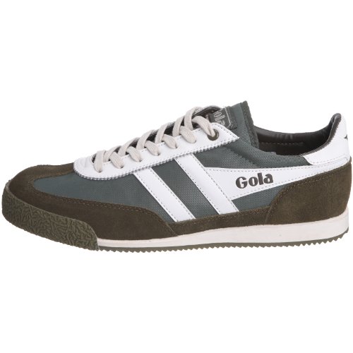 Image of Gola Harrier