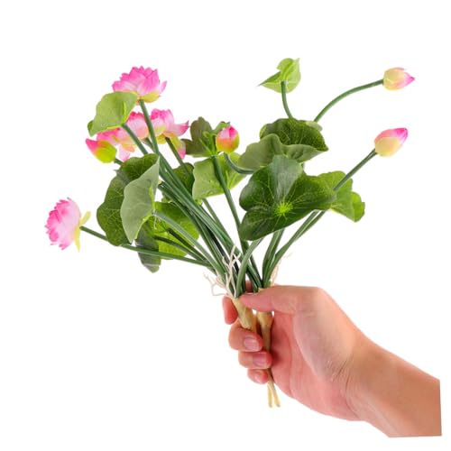 GAROZATION ƒplH@̉ VNt[AWg d ItBX ʐ^Bepz[fR[V 2Zbg