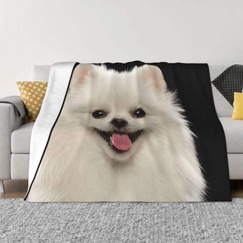 ѕz |jA  킢  uPbg  ӂӂ GARuPbg Ђ|  _炩G tl 􂦂 Ódh~ lGKp lC v[g 150cmx200cm