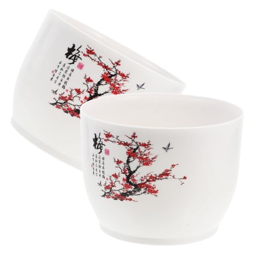 Toyvian 2pezzi Idroponico in Plastica Fioriera Ciotola Per Narcisi Da Decorativo Da Balcone Esterno Contenitore Pianta Facile Manutenzione Riutilizzabile