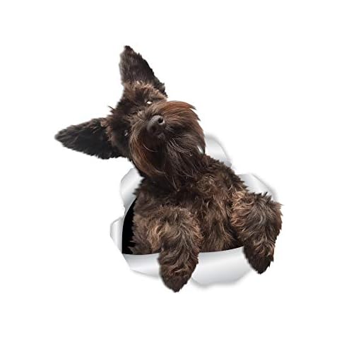 Pegatinas de Pared Winston & Bear Lindo Schnauzer Cover