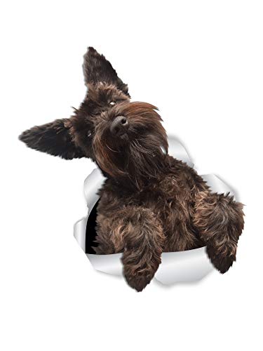 Winston & Bear Cute Schnauzer Wall Decals - 2 Pack - 3D Dog Toilet Sticker, Car Window and Bumper Sticker - Retail Packaged Schnauzer Lover Gifts