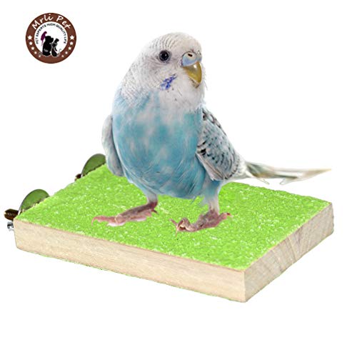 Best Play Stand For Cockatiels