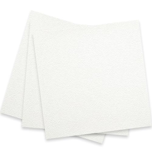 アサヒペン 壁紙シール 天井用パネルカベ紙 30cm×30cm 3枚入り TP-5 白 厚手 透けにくい 正方形パネル 上向き作業がしやすい 扱いやすい 貼りやすい 破れにくい 壁にも貼れる 粘着タイプ シックハウス対策品 日本製