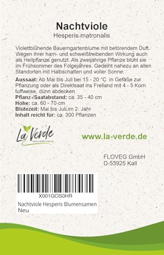 La Verde MEIN GARTEN UND ICH. Nachtviole Blumensamen für ca. 300 Pflanzen, stark duftende Bauernblume, zweijährig, Saatgut ohne Gentechnik