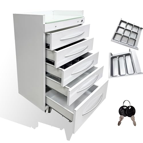 INTSUPERMAI 5 Drawer Mobile File Cabinet Stainless Steel Medical Mobile File Cabinet 17.7Ã—15.7Ã—31.5in Dental Assistant\'s Storage Cabinet Stainless Steel Utility Cart with Lock Wheels Divider Organizer