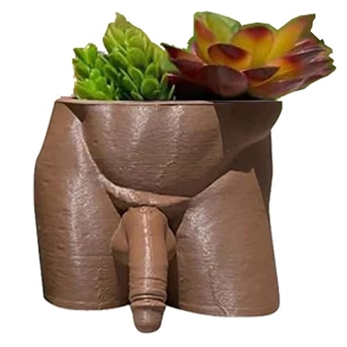 Jarrón para pene de 4.7 pulgadas | Macetero masculino marrón para decoración del hogar 3