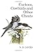 Cuckoos, Cowbirds and Other Cheats