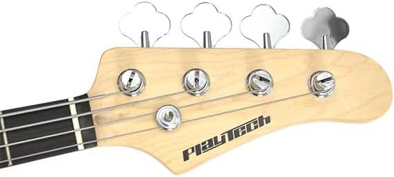 PLAYTECH RG10 エレクトリックリゾネーターギター ソフトケース付き