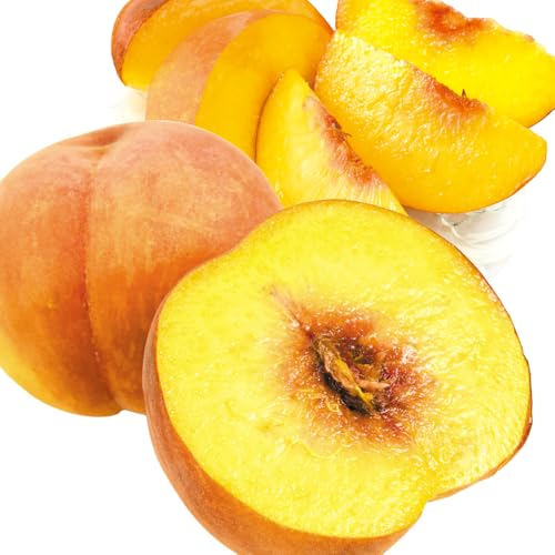 もも 1.5kg 山形産 山形の艶桃・黄桃 桃 黄桃 冷蔵便 青果 果物 フルーツ 国華園 食品のサムネイル